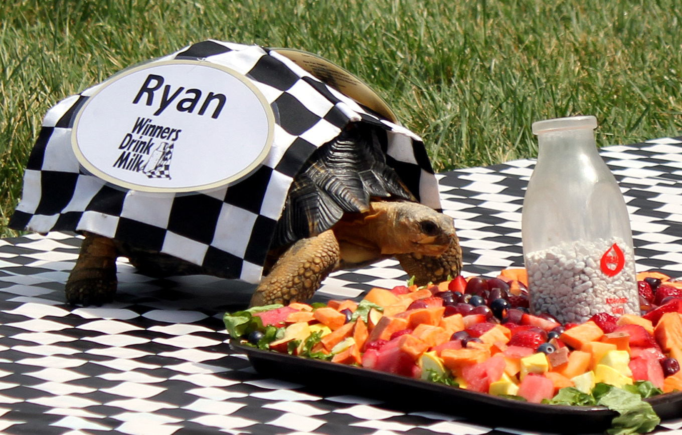 May 22nd Zoopolis 500