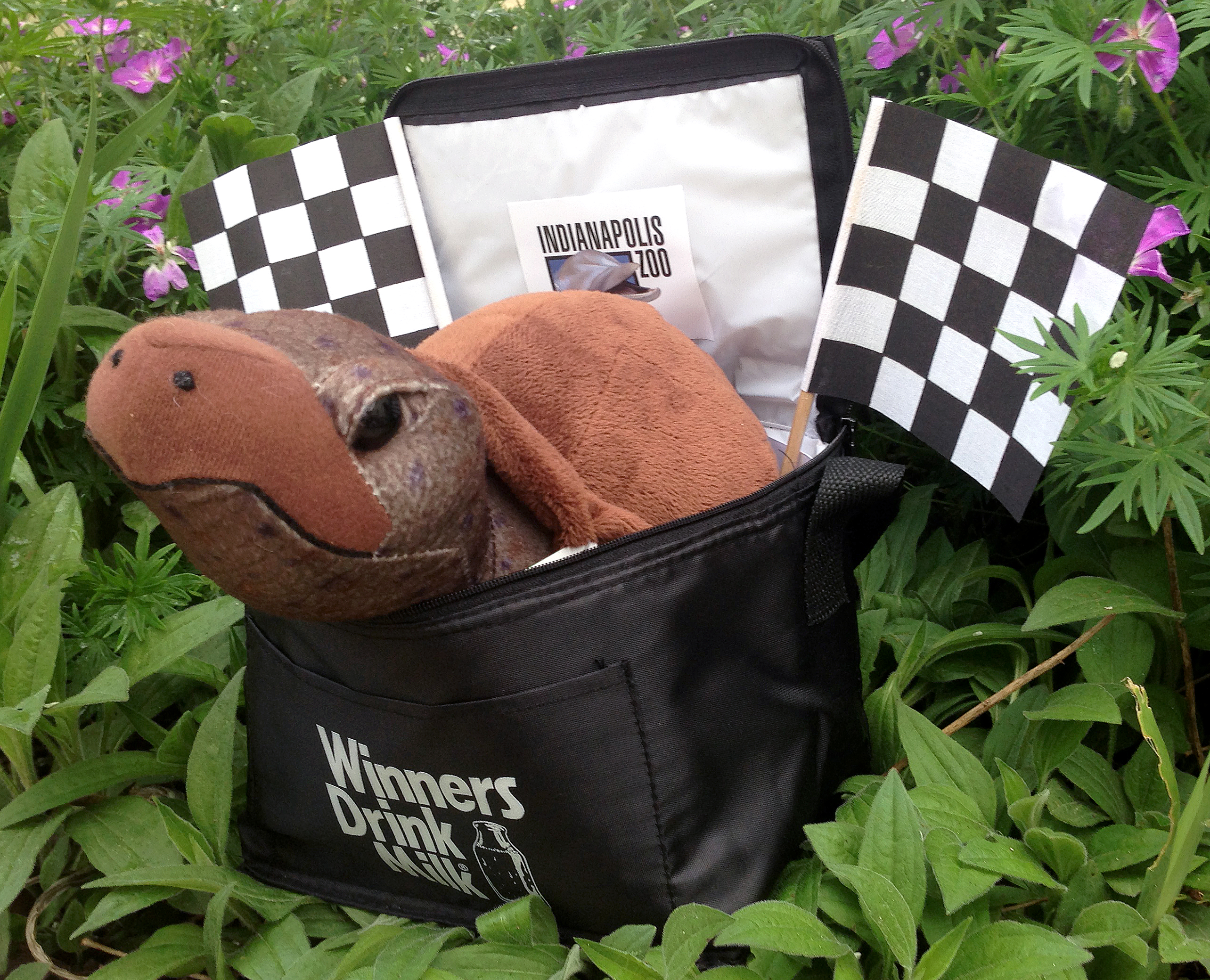 Indianapolis 500 Give Away