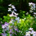 IMG_5157 thumbnail