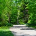 IMG_5161 thumbnail