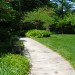IMG_5164 thumbnail