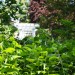 IMG_5165 thumbnail