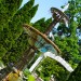 IMG_5170 thumbnail