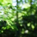 IMG_5189 thumbnail