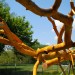 IMG_5213 thumbnail