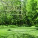 IMG_5214 thumbnail