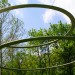 IMG_5216 thumbnail