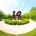 IMG_5307 thumbnail
