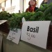 IMG_4477 thumbnail
