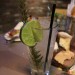 IMG_5665 thumbnail